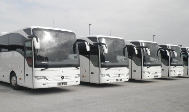 Tuscany: Bus company in Pisa in Pisa and Italy