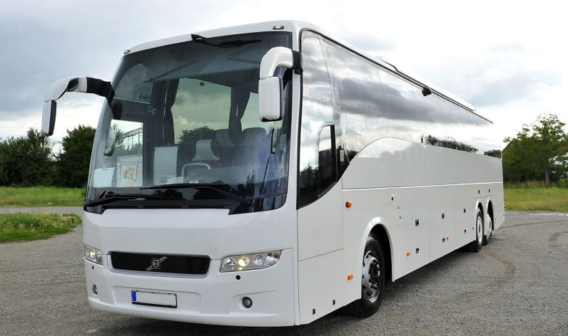 Italy: Buses agency in Italy in Italy and Liguria