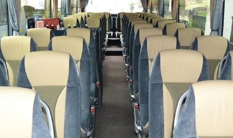 Italy: Coach operator in Lombardy in Lombardy and Cremona