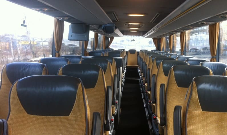 Italy: Coaches company in Tuscany in Tuscany and Florence